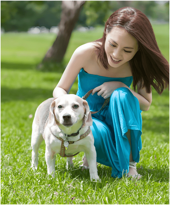 链分析：现状、痛点、需求、趋势AG真人中国宠物食品行业产业