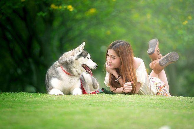 链分析：现状、痛点、需求、趋势AG真人中国宠物食品行业产业(图2)