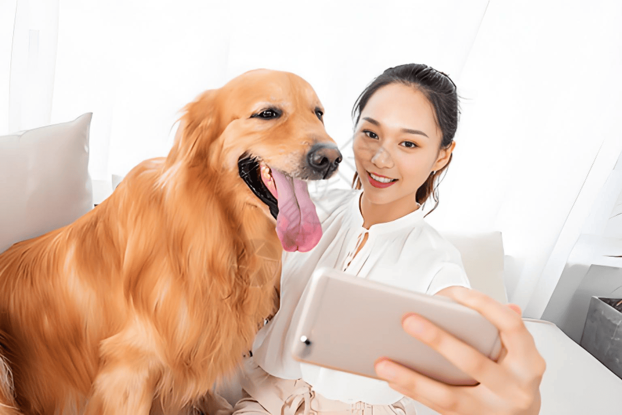 链分析：现状、痛点、需求、趋势AG真人中国宠物食品行业产业(图3)