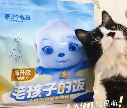口粮！三只松鼠靠什么重返宠物食品赛道AG真人试玩平台零食巨头盯上毛孩子