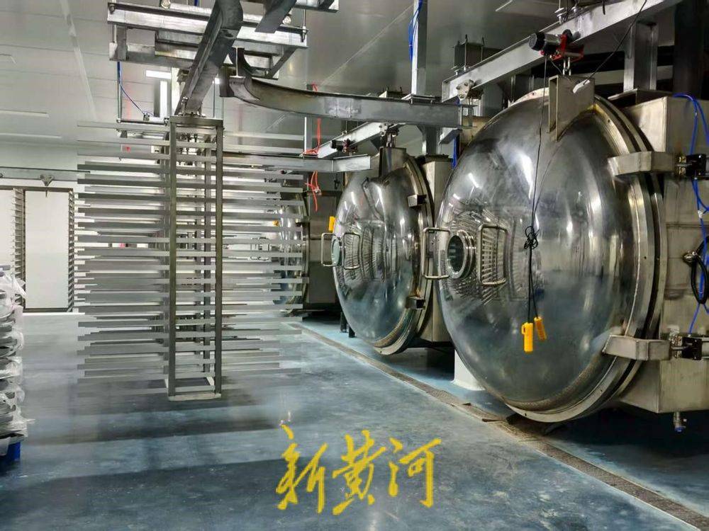 让萌宠“定制”产业破局腾飞AG真人百家乐潍坊临朐：(图2)