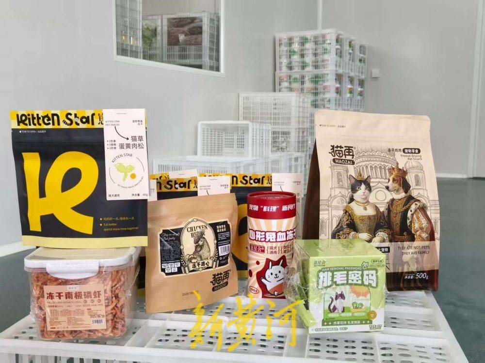 让萌宠“定制”产业破局腾飞AG真人百家乐