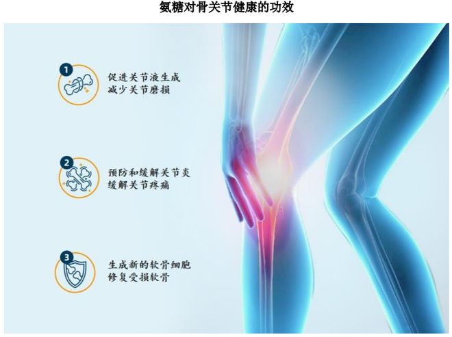 ：扎根运动健康赛道凭多元布局赢长远未来AG真人旗舰厅HMB全球龙头技源集团(图3)