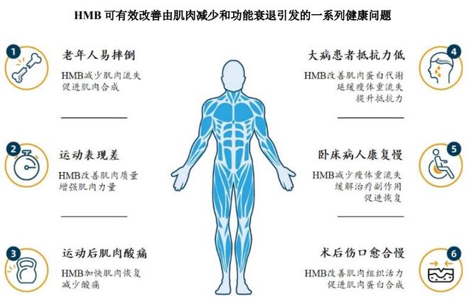 ：扎根运动健康赛道凭多元布局赢长远未来AG真人旗舰厅HMB全球龙头技源集团(图5)
